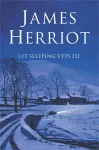 Let Sleeping Vets Lie cover