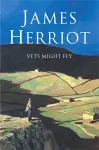 Vets Might Fly cover
