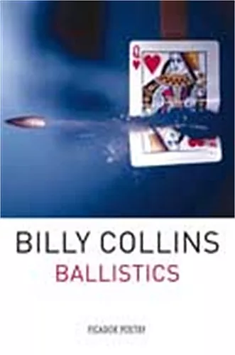 Ballistics cover