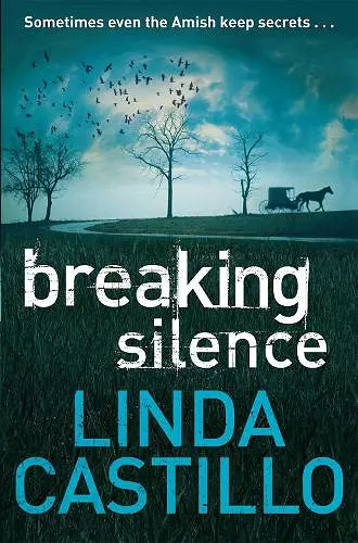 Breaking Silence cover