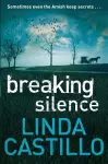 Breaking Silence cover
