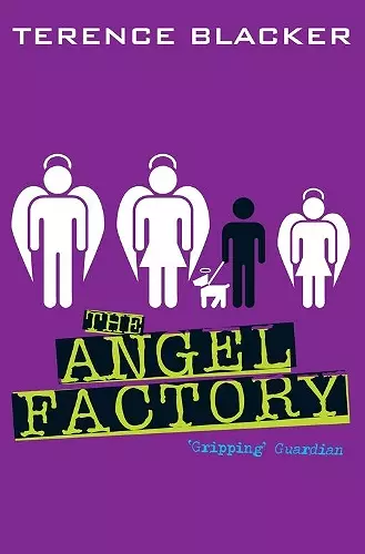 The Angel Factory cover