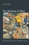 The Meaning of Race cover