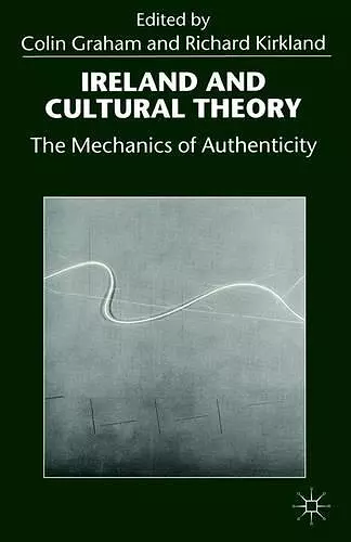 Ireland and Cultural Theory cover