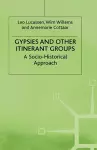 Gypsies and Other Itinerant Groups cover