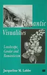 Romantic Visualities cover