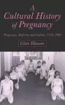 A Cultural History of Pregnancy cover