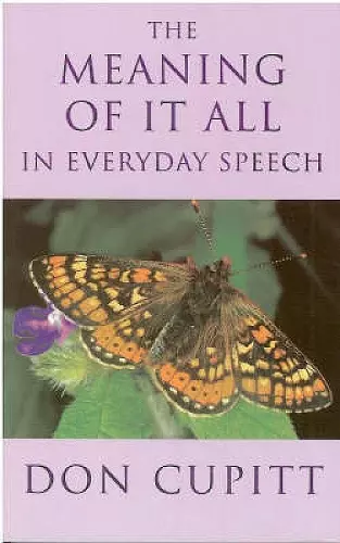 Meaning of it All in Everyday Speech cover