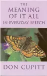 Meaning of it All in Everyday Speech cover