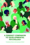A Feminist Companion to Developmental Psychology cover