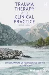 Trauma Therapy and Clinical Practice: Considerations of Neuroscience, Gestalt and the Body cover