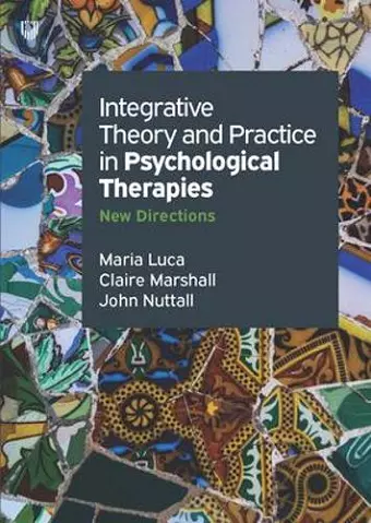 Integrative Theory And Practice In Psychological Therapies :New Directions cover