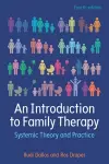 An Introduction to Family Therapy: Systemic Theory and Practice cover
