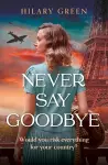 Never Say Goodbye cover