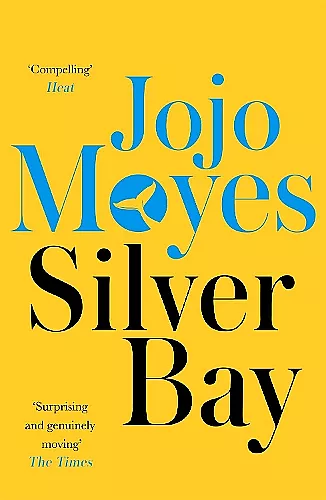 Silver Bay cover