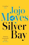 Silver Bay cover