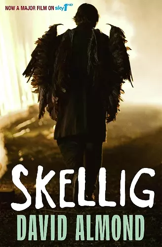 Skellig cover