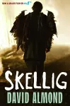 Skellig cover