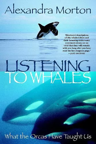 Listening to Whales cover