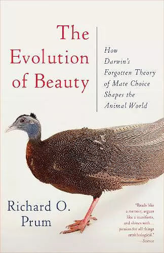 Evolution of Beauty cover