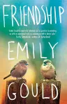 Friendship cover