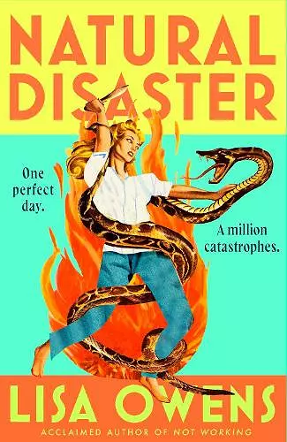 Natural Disaster cover