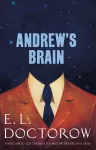 Andrew's Brain cover
