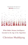Sensemaking cover