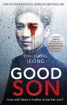 The Good Son cover
