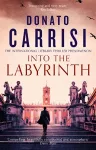 Into the Labyrinth cover