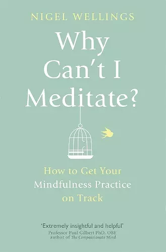 Why Can't I Meditate? cover