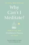 Why Can't I Meditate? cover
