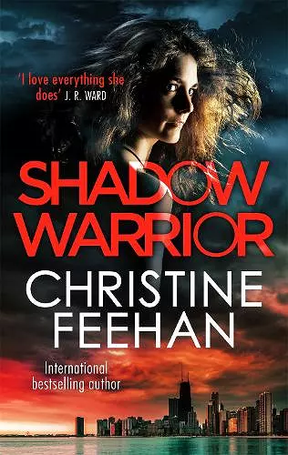 Shadow Warrior cover