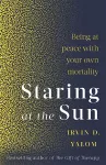 Staring At The Sun cover