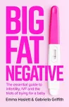 Big Fat Negative cover