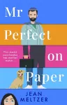 Mr Perfect on Paper cover