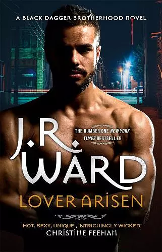 Lover Arisen cover