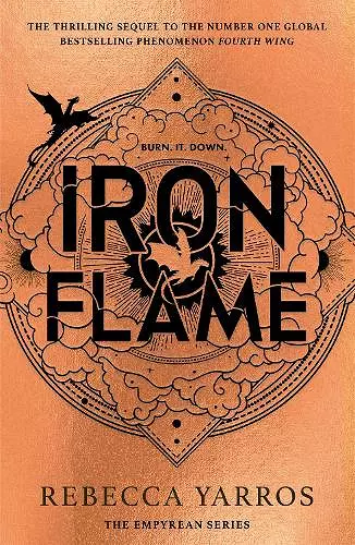 Iron Flame cover