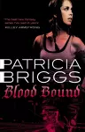 Blood Bound cover
