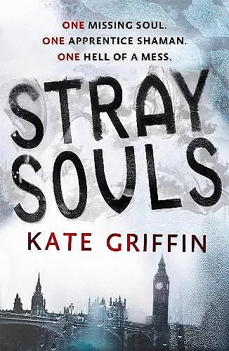 Stray Souls cover
