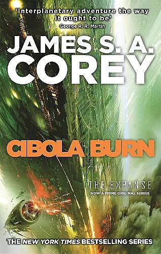 Cibola Burn cover