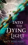Into the Dying Light cover