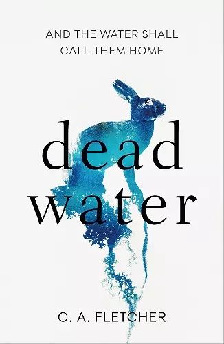 Dead Water cover