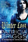 Winter Lost cover