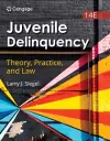 Juvenile Delinquency: Theory, Practice, and Law cover