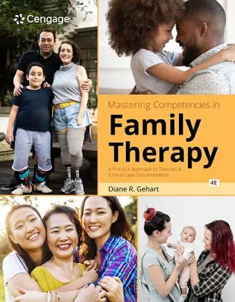 Mastering Competencies in Family Therapy: A Practical Approach to Theories and Clinical Case Documentation cover