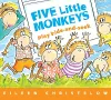 Five Little Monkeys Play Hide and Seek cover