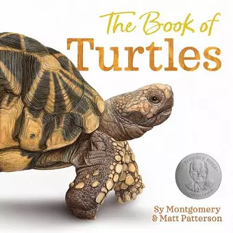 The Book of Turtles cover