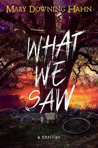 What We Saw cover