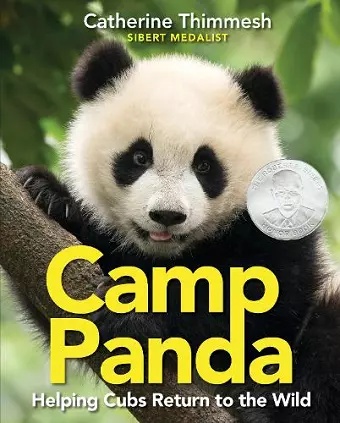 Camp Panda cover